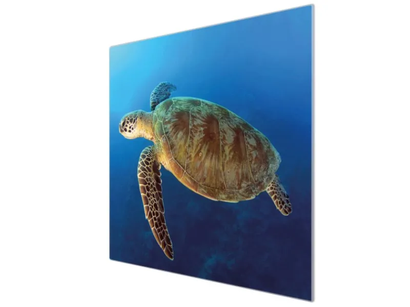 Banjado Herdabdeckplatte Glas 1 Teilig 60x52CM Schneidebrett Herdabdeckung Mit Motiv Wasserschildkröte< Schneidebretter|Herdabdeckungen