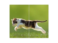 Outlet Banjado Herdabdeckplatte Glas 2 Teilig Je 30x52CM Schneidebrett Herdabdeckung Mit Motiv Jagende Katze