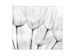 Banjado Herdabdeckplatte Glas 1 Teilig 60x52CM Schneidebrett Herdabdeckung Mit Motiv Pusteblumen Sw< Herdabdeckungen|Schneidebretter