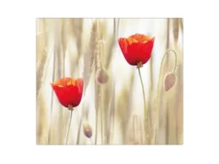 Banjado Herde|Herdabdeckungen<Herdabdeckplatte Glas 1 Teilig 60x52CM Schneidebrett Herdabdeckung Mit Motiv Klatschmohn