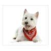 New Banjado Herdabdeckplatte Glas 1 Teilig 60x52CM Schneidebrett Herdabdeckung Mit Motiv Westie
