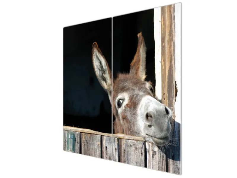 Discount Banjado Herdabdeckplatte Glas 2 Teilig Je 30x52CM Schneidebrett Herdabdeckung Mit Motiv Nicki
