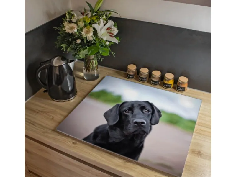 Banjado Herdabdeckplatte Glas 1 Teilig 60x52CM Schneidebrett Herdabdeckung Mit Motiv Paolo< Schneidebretter|Herdabdeckungen