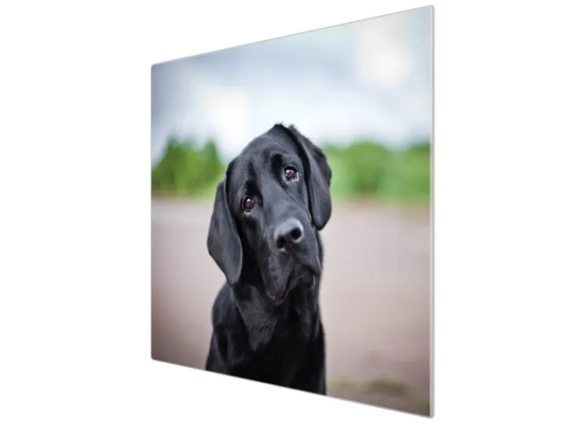 Banjado Herdabdeckplatte Glas 1 Teilig 60x52CM Schneidebrett Herdabdeckung Mit Motiv Paolo< Schneidebretter|Herdabdeckungen