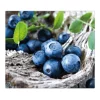 Clearance Banjado Herdabdeckplatte Glas 1 Teilig 60x52CM Schneidebrett Herdabdeckung Mit Motiv Blaubeeren