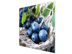 Clearance Banjado Herdabdeckplatte Glas 1 Teilig 60x52CM Schneidebrett Herdabdeckung Mit Motiv Blaubeeren