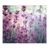 Banjado Herdabdeckplatte Glas 1 Teilig 60x52CM Schneidebrett Herdabdeckung Mit Motiv Lavendel 2< Schneidebretter|Herdabdeckungen
