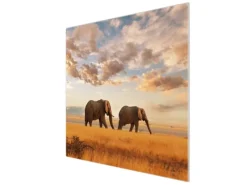 Hot Banjado Herdabdeckplatte Glas 1 Teilig 60x52CM Schneidebrett Herdabdeckung Mit Motiv Elefanten