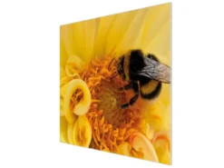 Banjado Herdabdeckplatte Glas 1 Teilig 60x52CM Schneidebrett Herdabdeckung Mit Motiv Hummel< Schneidebretter|Herdabdeckungen