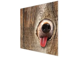 Sale Banjado Herdabdeckplatte Glas 1 Teilig 60x52CM Schneidebrett Herdabdeckung Mit Motiv Rumschnüffeln