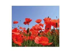 Banjado Herde|Kochfelder<Herdabdeckplatte Glas 1 Teilig 60x52CM Schneidebrett Herdabdeckung Mit Motiv Mohnblumen