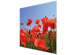 Banjado Herde|Kochfelder<Herdabdeckplatte Glas 1 Teilig 60x52CM Schneidebrett Herdabdeckung Mit Motiv Mohnblumen