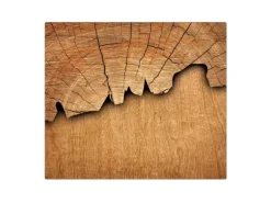Banjado Schneidebretter|Herde<Herdabdeckplatte Glas 1 Teilig 60x52CM Schneidebrett Herdabdeckung Mit Motiv Baumscheibe