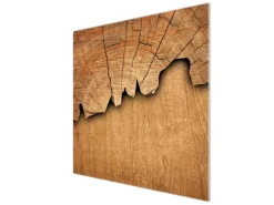 Banjado Schneidebretter|Herde<Herdabdeckplatte Glas 1 Teilig 60x52CM Schneidebrett Herdabdeckung Mit Motiv Baumscheibe
