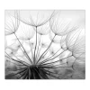Banjado Herdabdeckplatte Glas 1 Teilig 60x52CM Schneidebrett Herdabdeckung Mit Motiv Ready For Takeoff< Schneidebretter|Herde