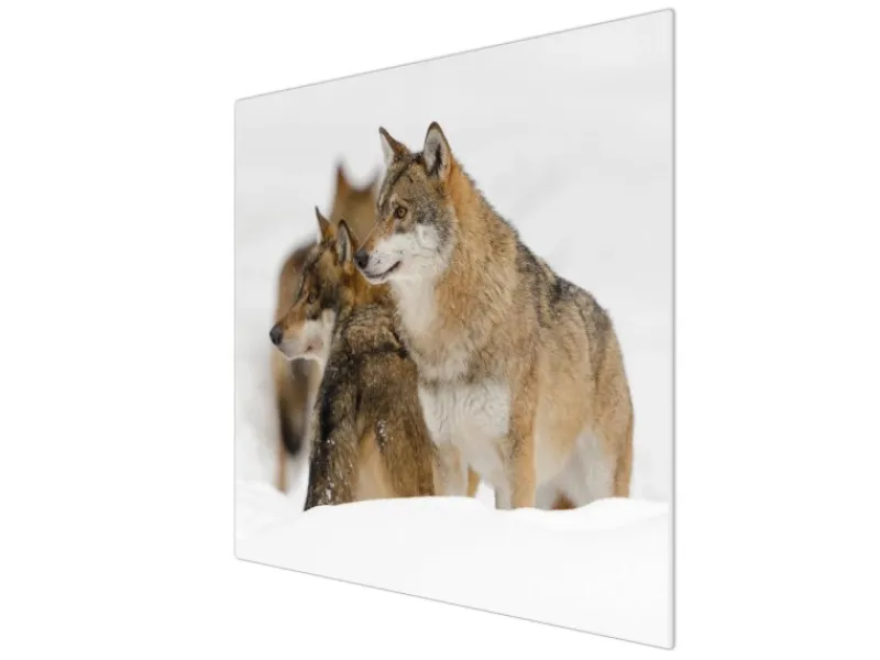 Online Banjado Herdabdeckplatte Glas 1 Teilig 60x52CM Schneidebrett Herdabdeckung Mit Motiv Wölfe