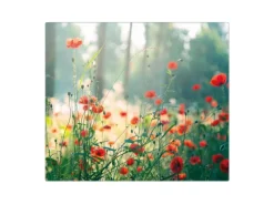 Banjado Schneidebretter|Herdabdeckungen<Herdabdeckplatte Glas 1 Teilig 60x52CM Schneidebrett Herdabdeckung Mit Motiv Waldmohn