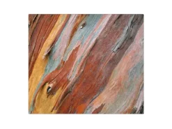 Banjado Herdabdeckplatte Glas 1 Teilig 60x52CM Schneidebrett Herdabdeckung Mit Motiv Coloured Wood< Herde|Kochfelder