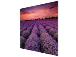 Online Banjado Herdabdeckplatte Glas 1 Teilig 60x52CM Schneidebrett Herdabdeckung Mit Motiv Lavendelfeld