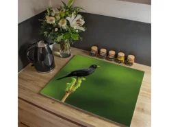 Banjado Schneidebretter|Herdabdeckungen<Herdabdeckplatte Glas 1 Teilig 60x52CM Schneidebrett Herdabdeckung Mit Motiv Vogel Auf Tannenzweig