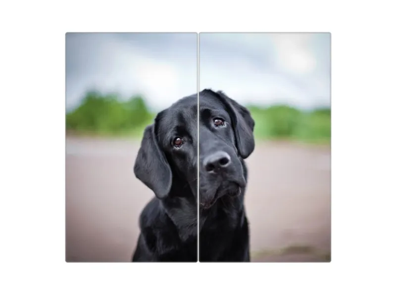 Discount Banjado Herdabdeckplatte Glas 2 Teilig Je 30x52CM Schneidebrett Herdabdeckung Mit Motiv Paolo