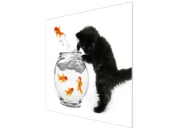 Banjado Herdabdeckplatte Glas 1 Teilig 60x52CM Schneidebrett Herdabdeckung Mit Motiv Katze Und Fisch< Herde|Kochfelder