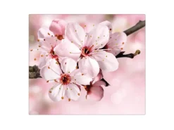 Banjado Herdabdeckungen|Herde<Herdabdeckplatte Glas 1 Teilig 60x52CM Schneidebrett Herdabdeckung Mit Motiv Japanische Kirsche
