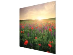 Clearance Banjado Herdabdeckplatte Glas 1 Teilig 60x52CM Schneidebrett Herdabdeckung Mit Motiv Sommerfeld