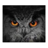 Clearance Banjado Herdabdeckplatte Glas 1 Teilig 60x52CM Schneidebrett Herdabdeckung Mit Motiv Uhu