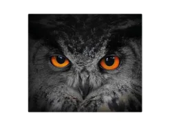 Clearance Banjado Herdabdeckplatte Glas 1 Teilig 60x52CM Schneidebrett Herdabdeckung Mit Motiv Uhu