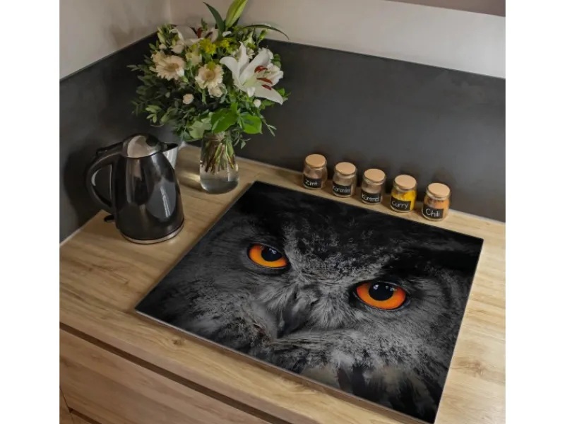 Clearance Banjado Herdabdeckplatte Glas 1 Teilig 60x52CM Schneidebrett Herdabdeckung Mit Motiv Uhu