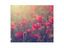 Best Banjado Herdabdeckplatte Glas 1 Teilig 60x52CM Schneidebrett Herdabdeckung Mit Motiv Mohn