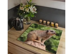 Banjado Herdabdeckplatte Glas 1 Teilig 60x52CM Schneidebrett Herdabdeckung Mit Motiv Sitzendes Erdmännchen< Schneidebretter|Herdabdeckungen