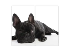Banjado Herdabdeckplatte Glas 2 Teilig Je 30x52CM Schneidebrett Herdabdeckung Mit Motiv Bulldogge< Herdabdeckungen|Herde