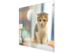 Banjado Schneidebretter|Herdabdeckungen<Herdabdeckplatte Glas 1 Teilig 60x52CM Schneidebrett Herdabdeckung Mit Motiv Kleine Katze