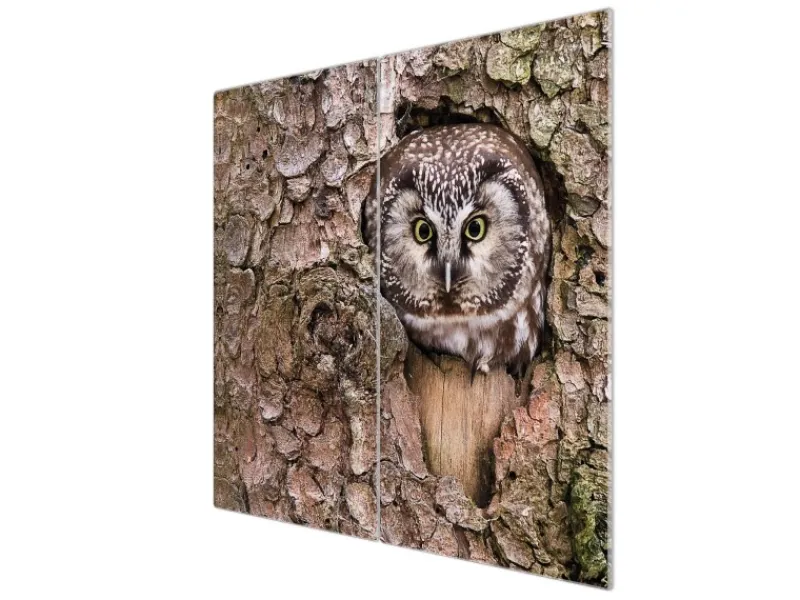 Banjado Schneidebretter|Herdabdeckungen<Herdabdeckplatte Glas 2 Teilig Je 30x52CM Schneidebrett Herdabdeckung Mit Motiv Eule
