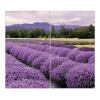 Banjado Schneidebretter|Herdabdeckungen<Herdabdeckplatte Glas 2 Teilig Je 30x52CM Schneidebrett Herdabdeckung Mit Motiv Lavendel 1