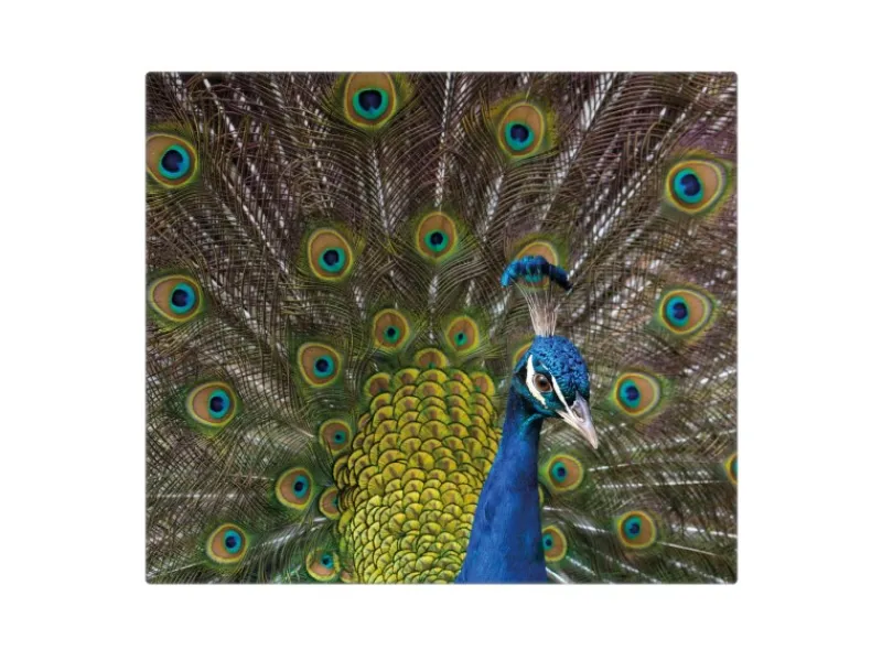 Banjado Herdabdeckplatte Glas 1 Teilig 60x52CM Schneidebrett Herdabdeckung Mit Motiv Pfau< Herdabdeckungen|Schneidebretter