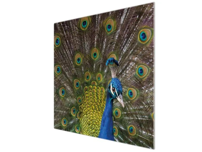 Banjado Herdabdeckplatte Glas 1 Teilig 60x52CM Schneidebrett Herdabdeckung Mit Motiv Pfau< Herdabdeckungen|Schneidebretter
