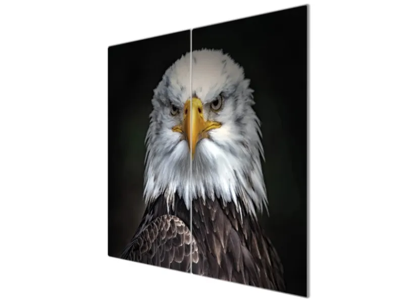 Banjado Herdabdeckplatte Glas 2 Teilig Je 30x52CM Schneidebrett Herdabdeckung Mit Motiv Adler< Schneidebretter|Herdabdeckungen
