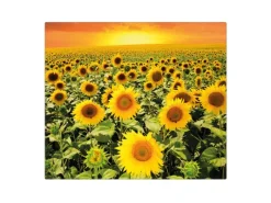 Banjado Herdabdeckplatte Glas 1 Teilig 60x52CM Schneidebrett Herdabdeckung Mit Motiv Sonnenblumenmeer< Schneidebretter|Herdabdeckungen