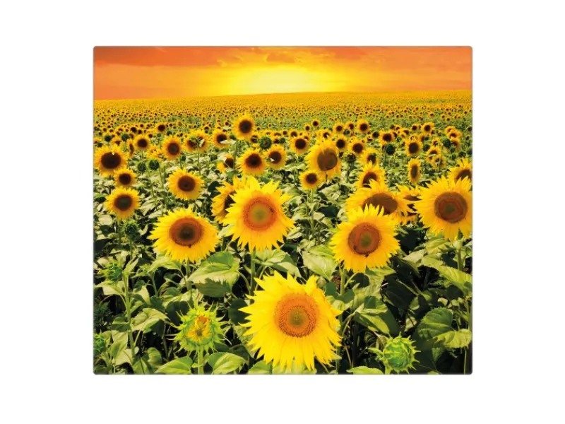 Banjado Herdabdeckplatte Glas 1 Teilig 60x52CM Schneidebrett Herdabdeckung Mit Motiv Sonnenblumenmeer< Schneidebretter|Herdabdeckungen