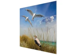 Banjado Schneidebretter|Herdabdeckungen<Herdabdeckplatte Glas 1 Teilig 60x52CM Schneidebrett Herdabdeckung Mit Motiv Möwen
