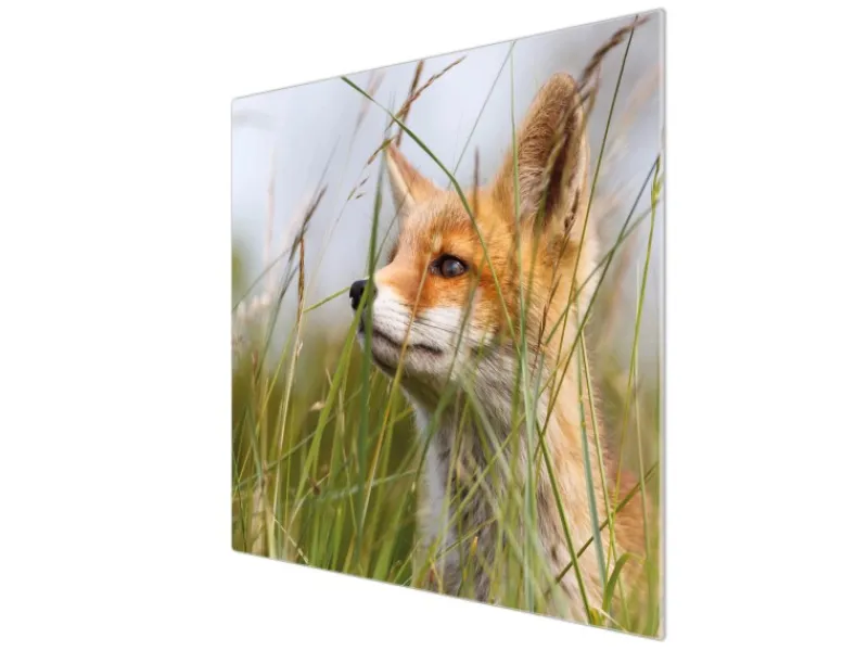 Banjado Herdabdeckplatte Glas 1 Teilig 60x52CM Schneidebrett Herdabdeckung Mit Motiv Fuchs< Küchenrückwände|Schneidebretter