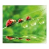 Discount Banjado Herdabdeckplatte Glas 1 Teilig 60x52CM Schneidebrett Herdabdeckung Mit Motiv Für Jeden Einen