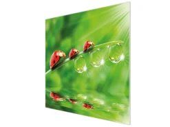 Discount Banjado Herdabdeckplatte Glas 1 Teilig 60x52CM Schneidebrett Herdabdeckung Mit Motiv Für Jeden Einen