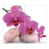 Banjado Herdabdeckplatte Glas 2 Teilig Je 30x52CM Schneidebrett Herdabdeckung Mit Motiv Orchidee< Schneidebretter|Herdabdeckungen