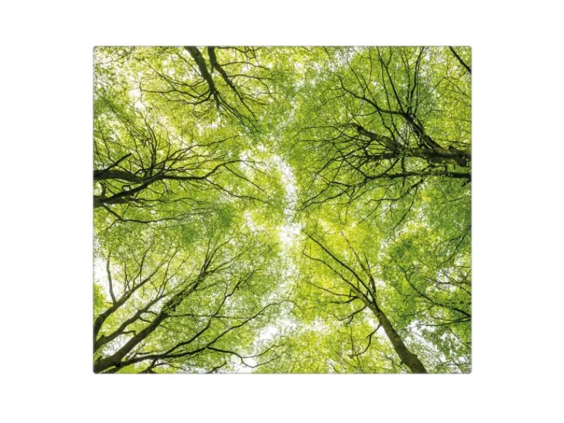 Banjado Herdabdeckplatte Glas 1 Teilig 60x52CM Schneidebrett Herdabdeckung Mit Motiv Zwischen Bäumen< Schneidebretter|Herdabdeckungen
