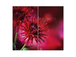 Banjado Herdabdeckplatte Glas 2 Teilig Je 30x52CM Schneidebrett Herdabdeckung Mit Motiv Rote Dahlien< Schneidebretter|Herde