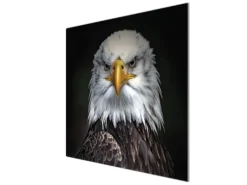 Banjado Herdabdeckplatte Glas 1 Teilig 60x52CM Schneidebrett Herdabdeckung Mit Motiv Adler< Schneidebretter|Herdabdeckungen